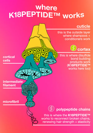 Illustration of hair structure with K18PEPTIDE® labeled on a pink and orange gradient background.